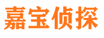 长丰侦探公司